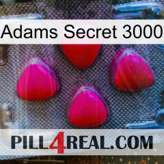 Adams Secret 3000 13